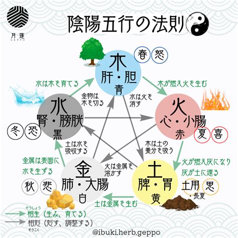 東 五行|五行